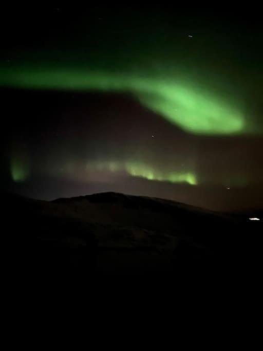Skjomen Lodge Elvegard エクステリア 写真