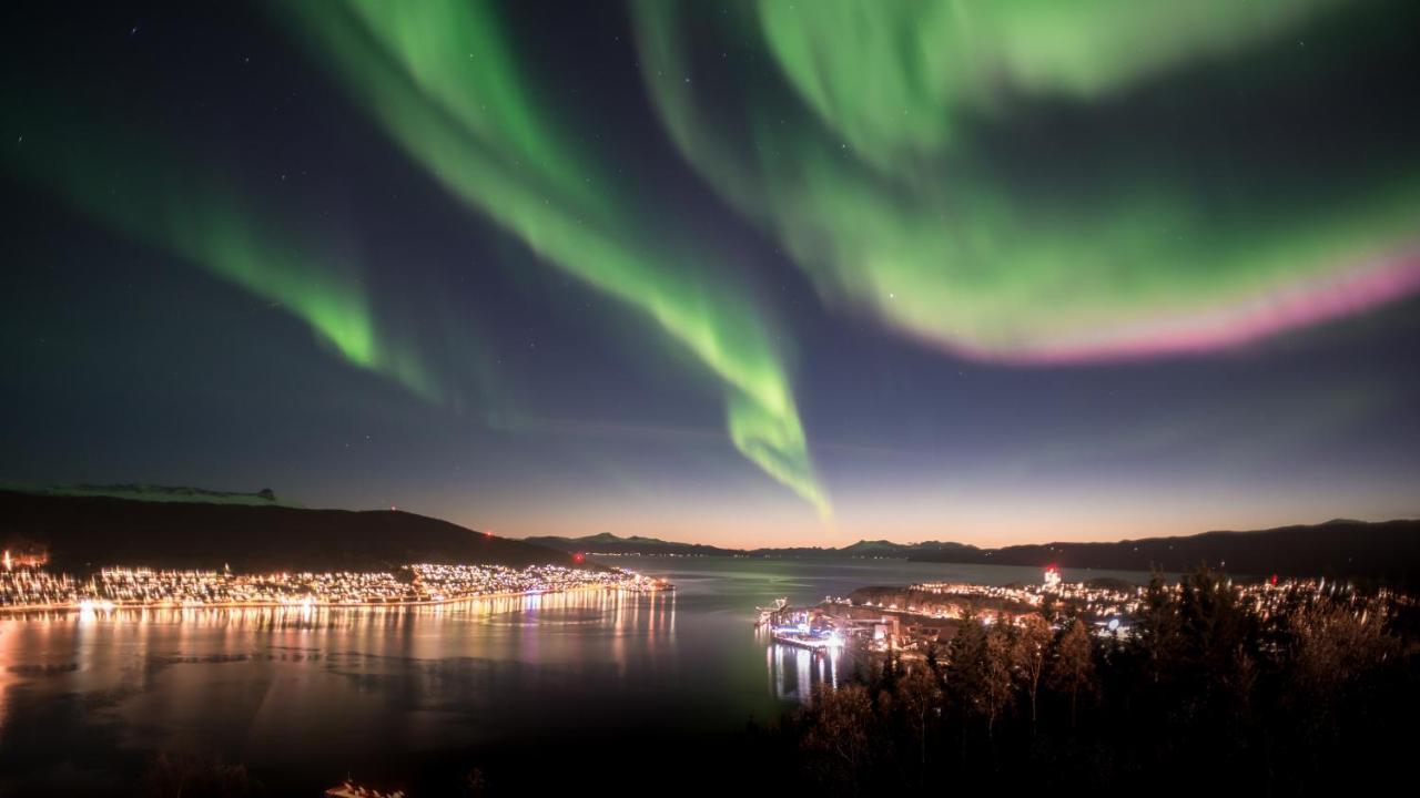 Skjomen Lodge Elvegard エクステリア 写真