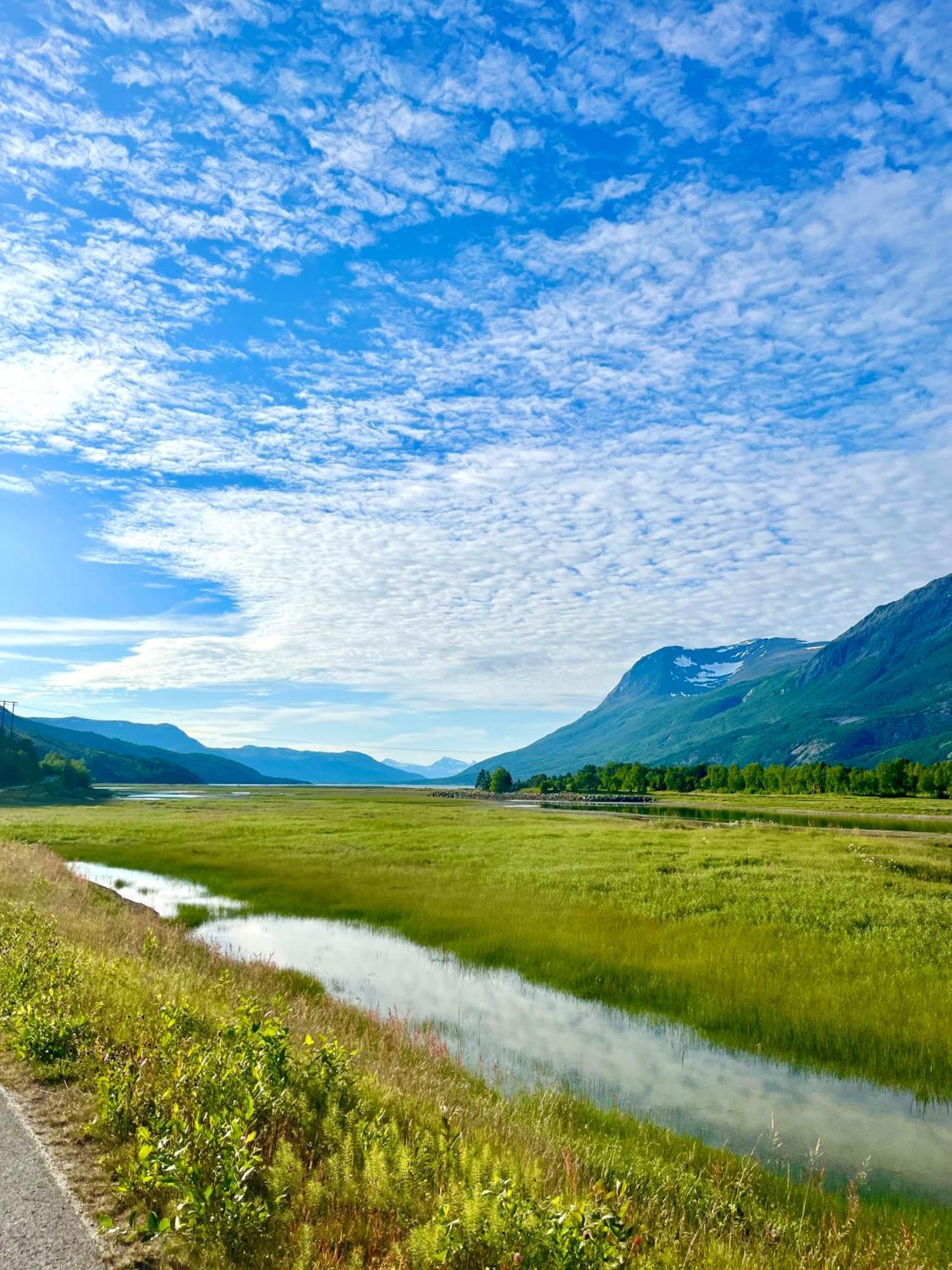 Skjomen Lodge Elvegard エクステリア 写真
